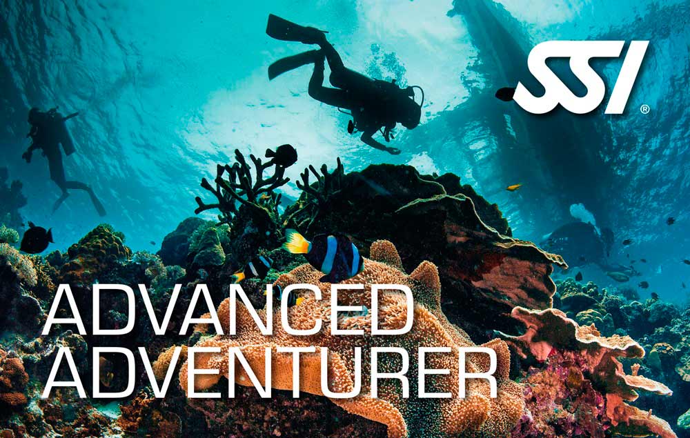 ADVANCED ADVENTURER 4