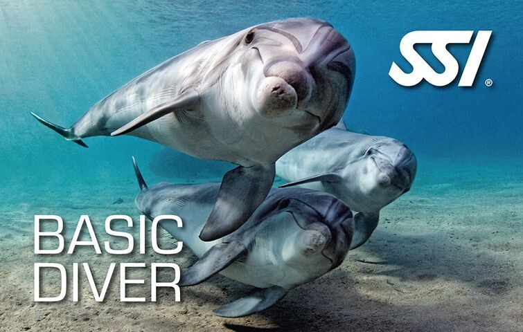 BASIC DIVER 2